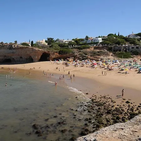 Turisticos Grande *